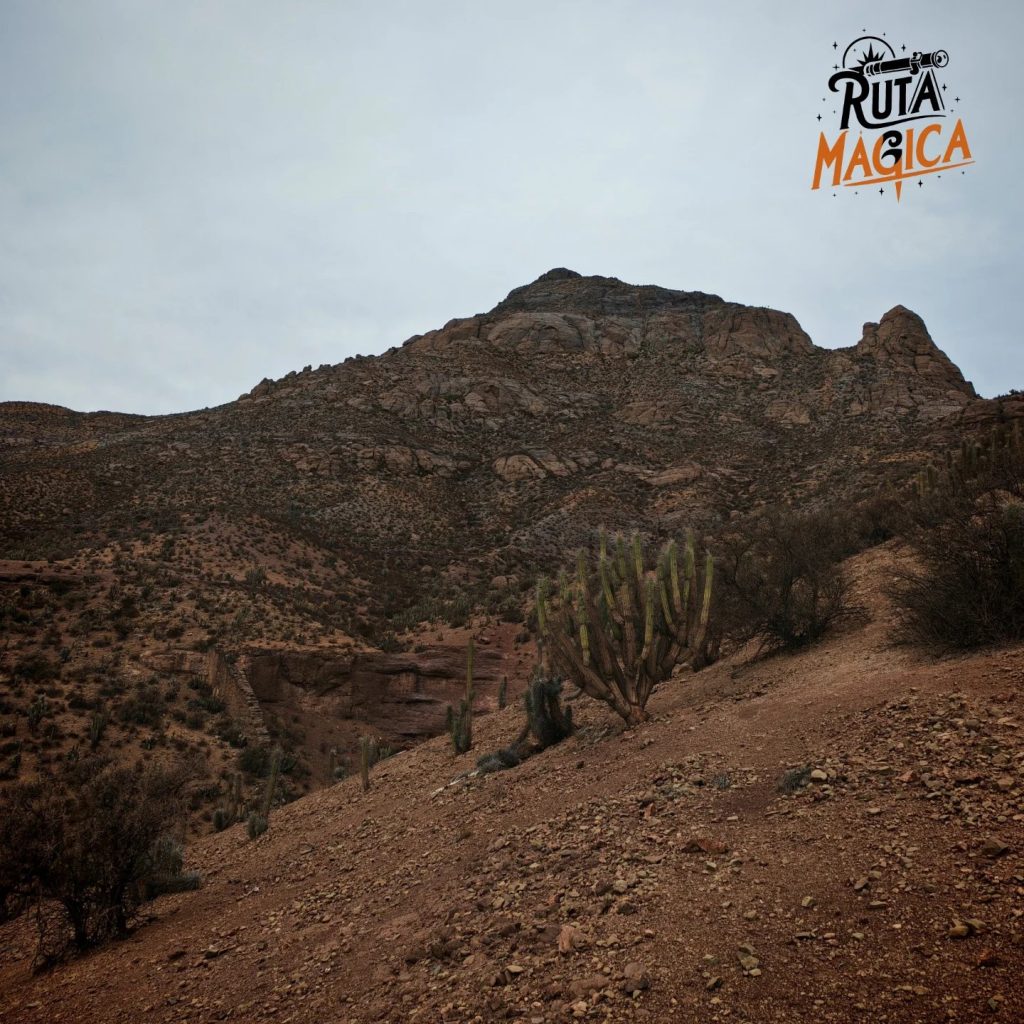 Paisaje de cerros y vegetación en Río Hurtado