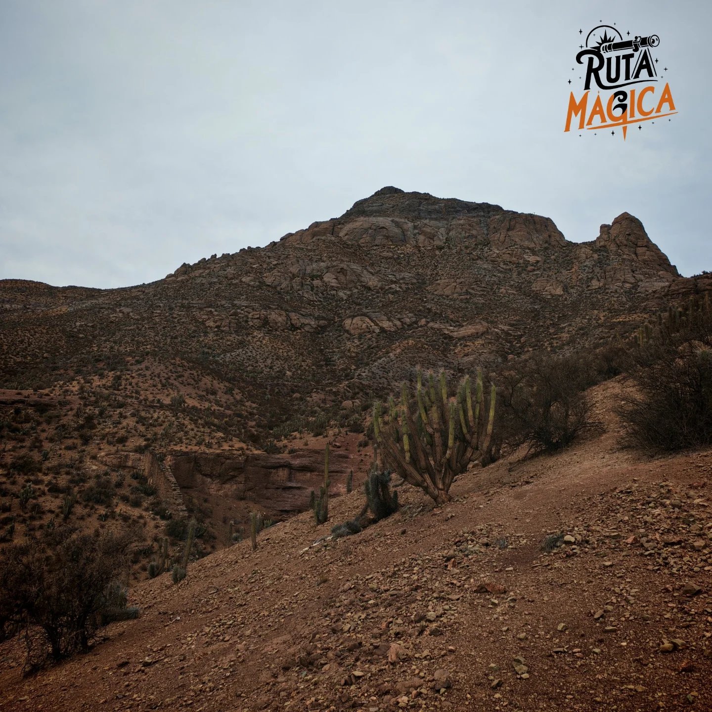 Paisaje de cerros y vegetación en Río Hurtado
